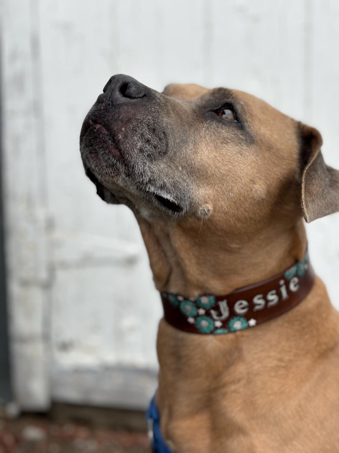 Wide Dog Collar – Personalized Leather Floral Collar for Large & Strong Dogs