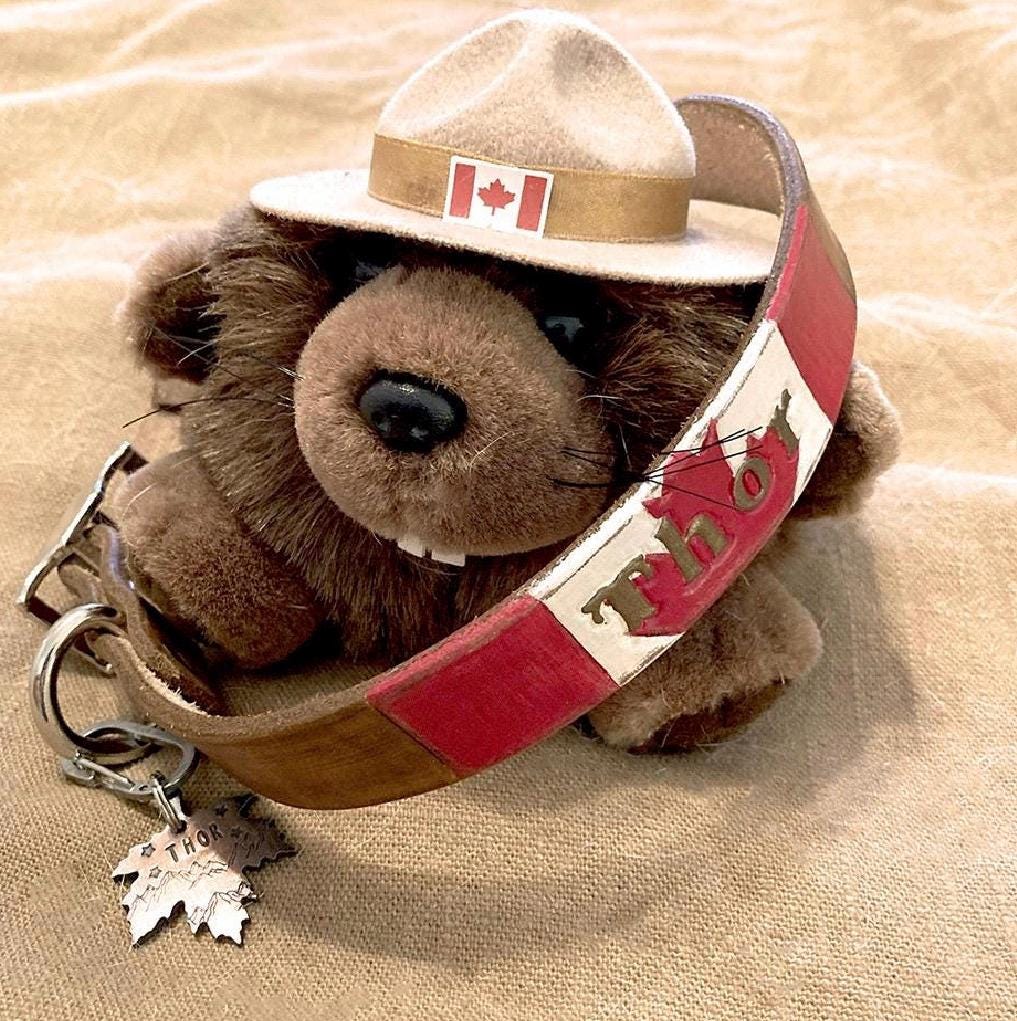 Personalized Dog Collar, Canadian Flag Dog Collar for Labrador Retriever Husky Newfoundland Dog, Maple Leaf Name Collar Canada Pride