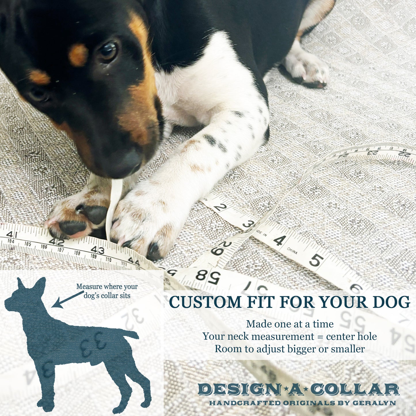 Personalized Leather Dog Collar, Custom Engraved Pet, Brown Leather