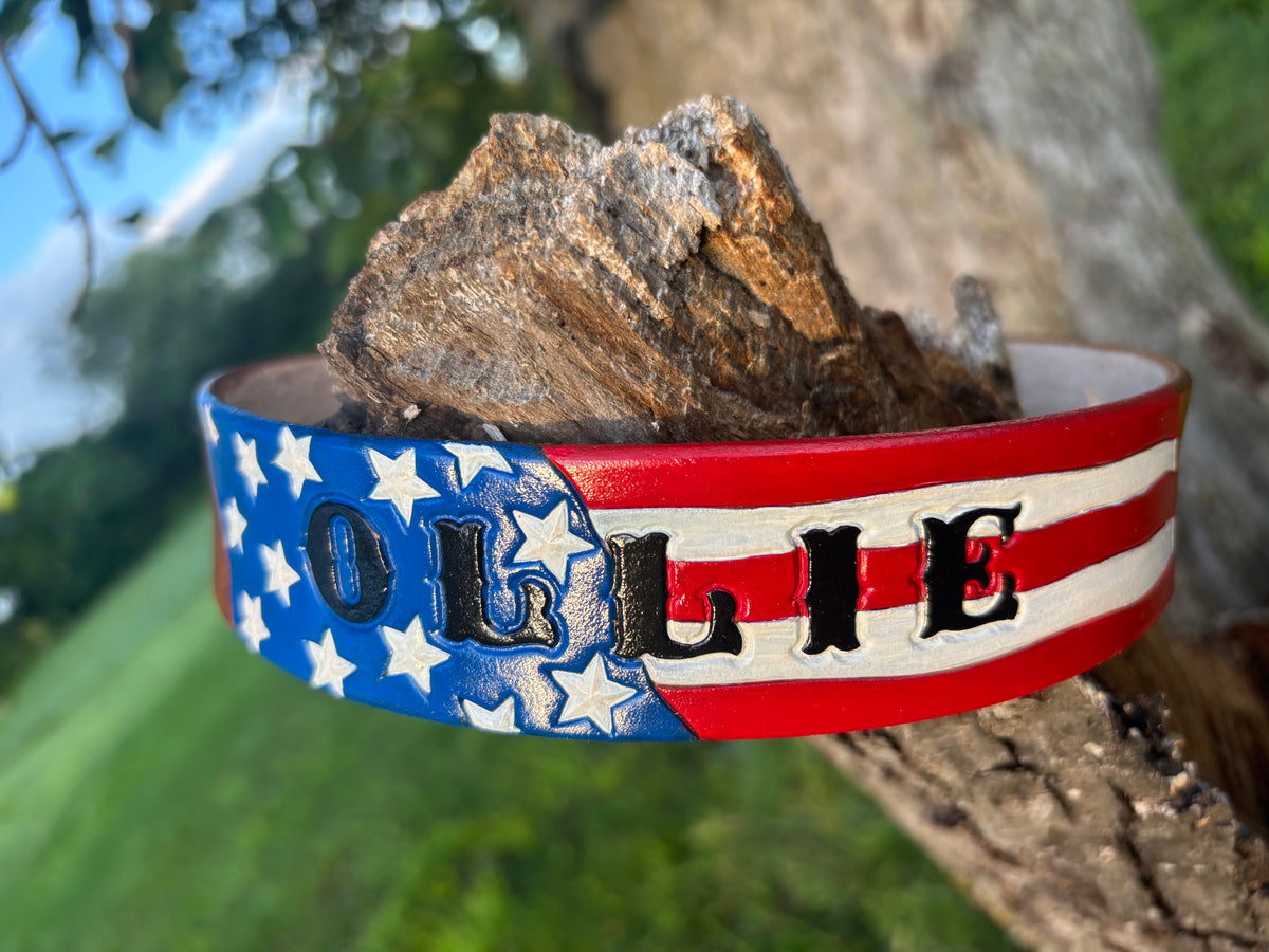 American Flag Leather Dog Collar | PTSD Milatary Service Dog Collar