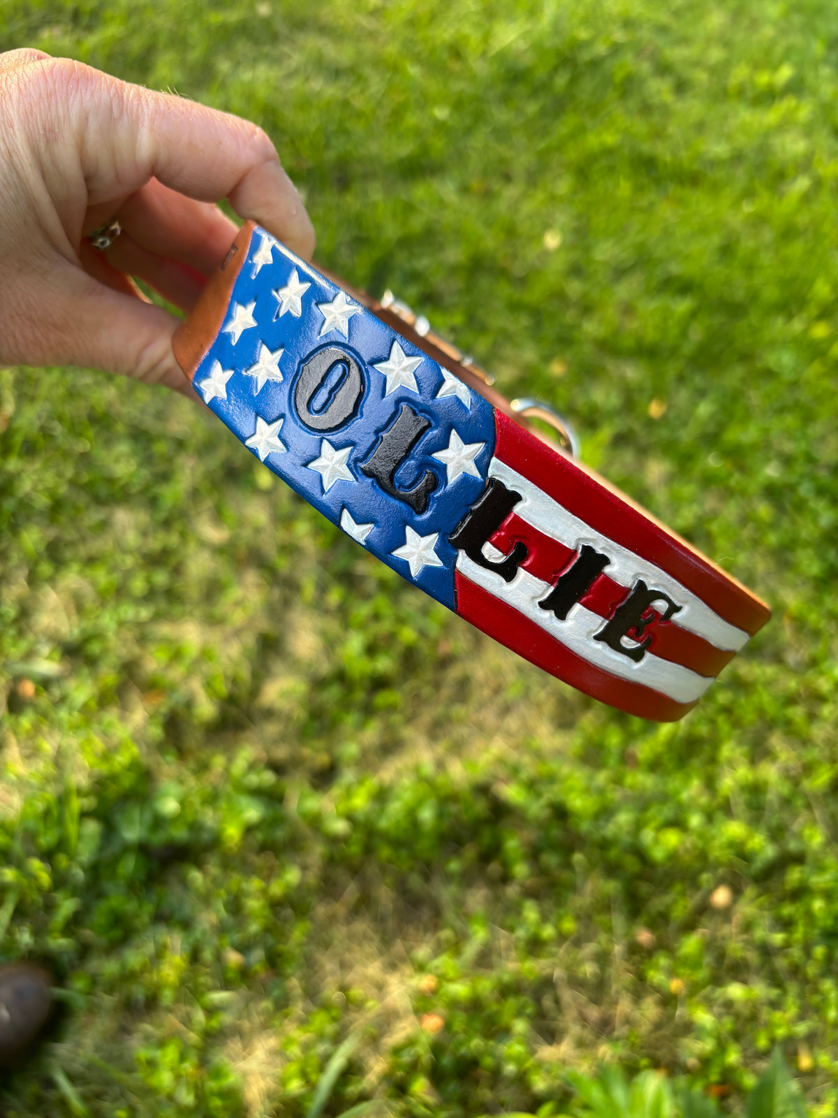 American Flag Leather Dog Collar | PTSD Milatary Service Dog Collar
