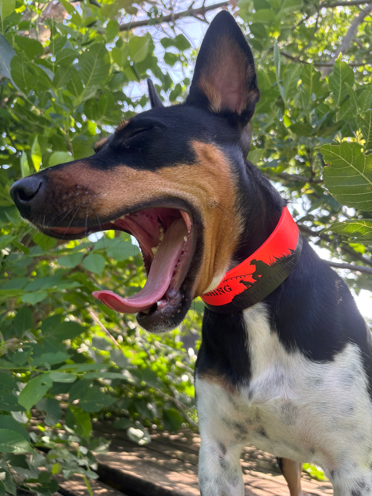 Gone Fishing Leather Collar | Sporting Dog Collar | GSP Pointer Retriever Hunting Dog Collar | Pheasant Feather Leather Collar Custom Name (Copy)