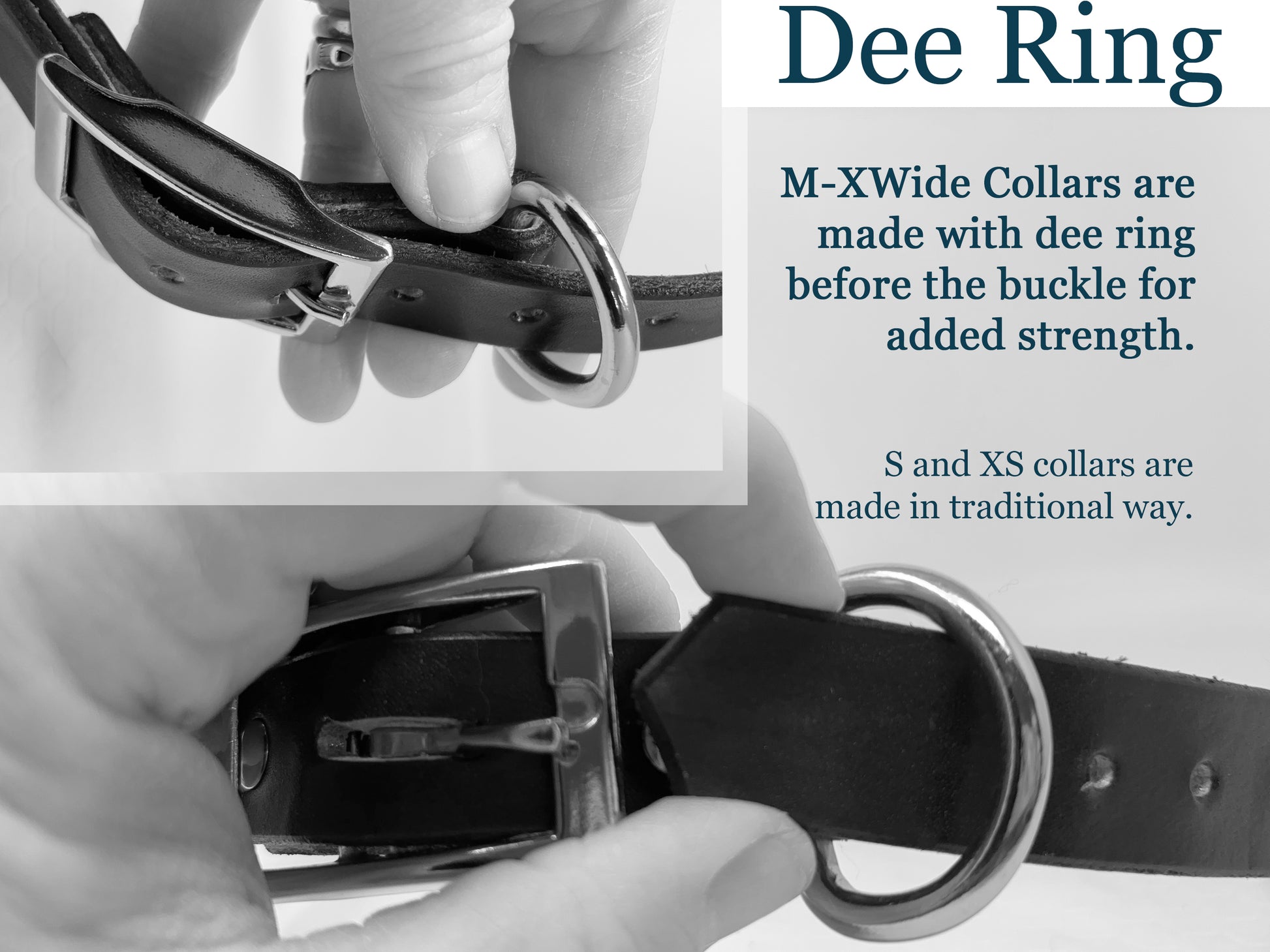 Close-up of a leather collar with a dee ring before the buckle to add strenth to the collar.