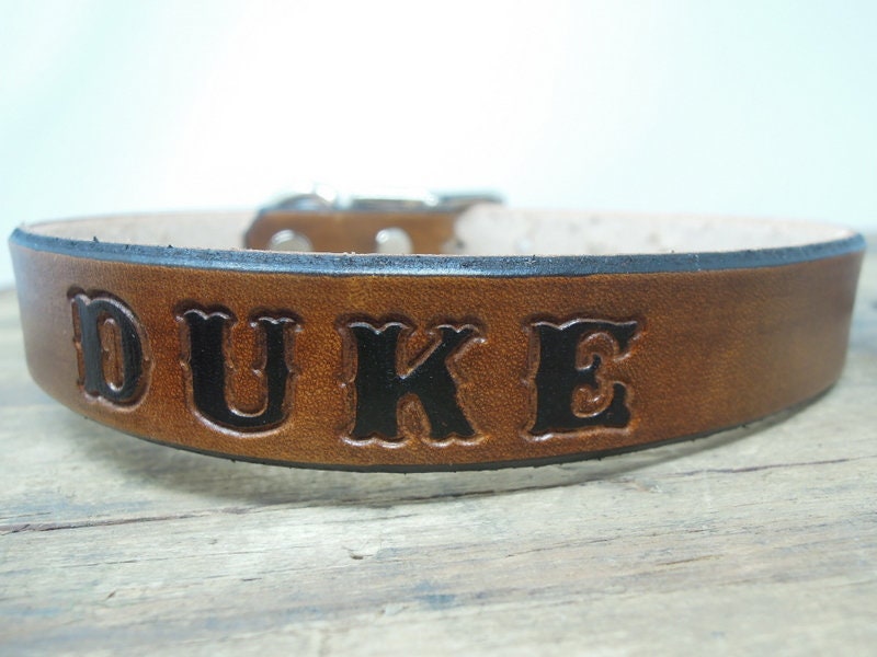 Personalized Leather Dog Collar - Tattoo Dog Collars -  Engraved Name
