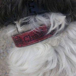 Firefighter Dog Collar with Maltese Cross - Custom Leather Dog Collar - For Medium Size Dogs - Dalmatian