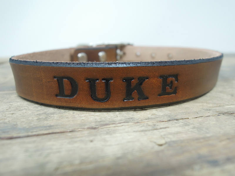 Small Dog Collar | Classic Dog Collar | Personalized Western  For Chihuahuas