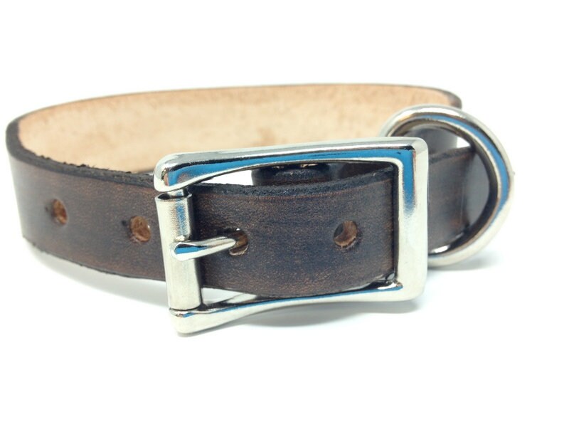 Dog Collar Girl | Leather Dog Collar | Pastel Flowers