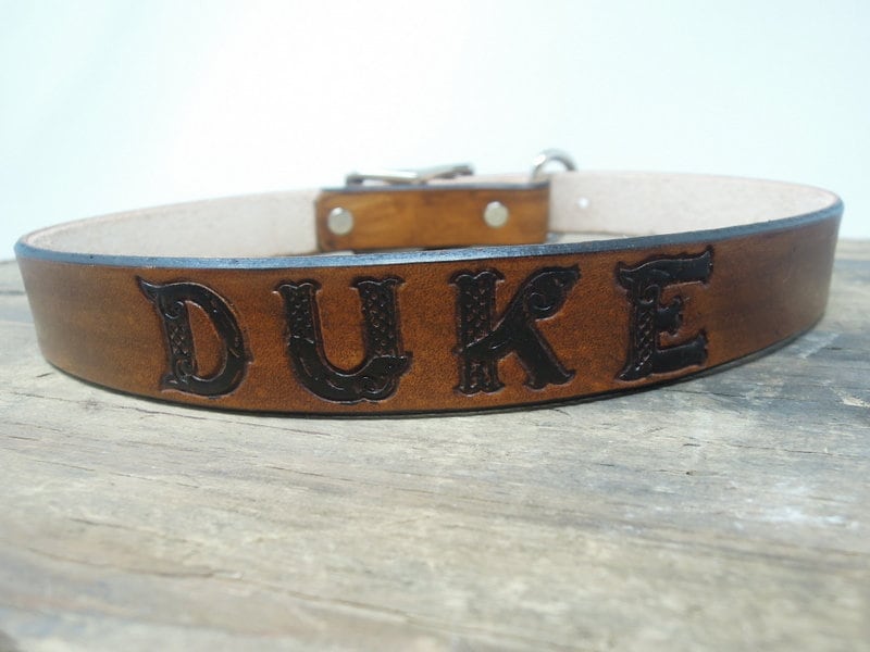 Personalized Leather Dog Collar: Celtic Font, Timber Brown, USA Made