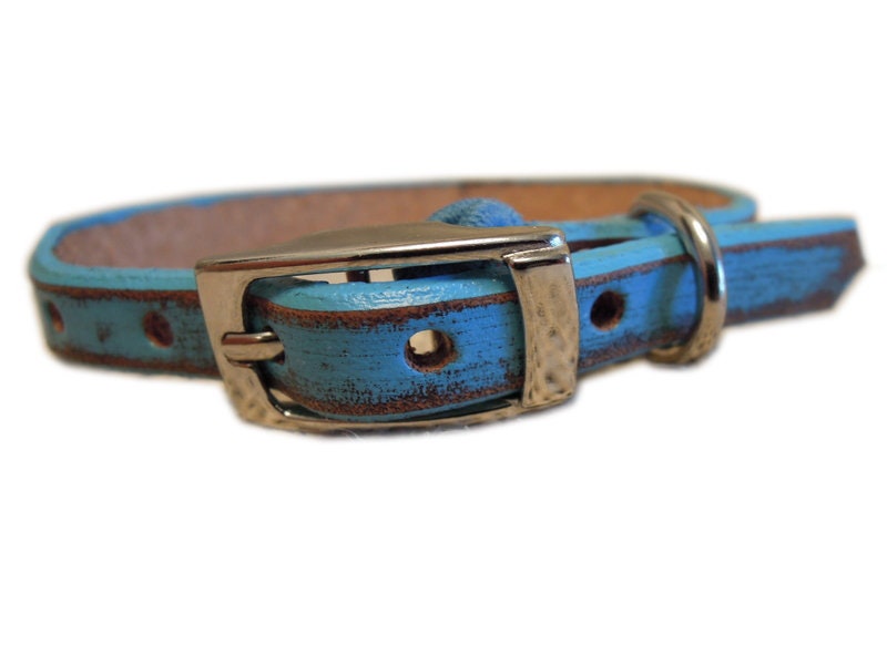 Personalized Leather Cat Collar: Turquoise Bison Brown, Tattoo Font