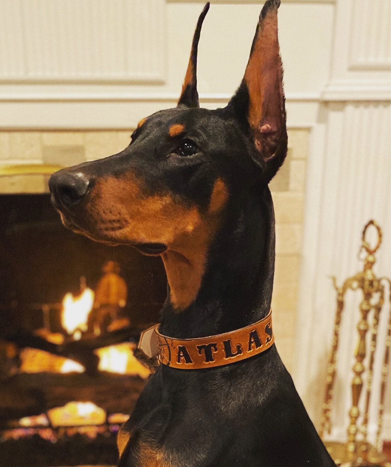 Personalized Leather Dog Collar | Classic Dog Collars | with Compass