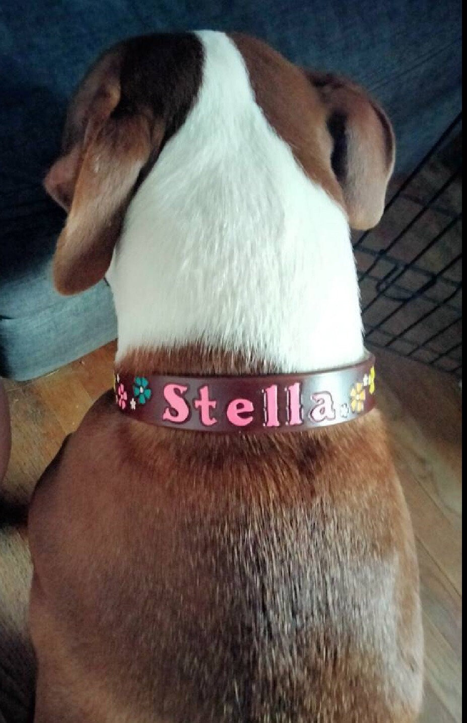 Neon Flower Dog Collar - Matching Collar and Leash - Dark Brown Leather Collar with Retro Style Flowers with or without your Dogs Name.