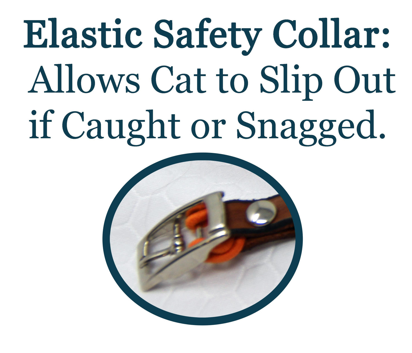 Personalized Brown Leather Cat Collar: Elastic Safety, Custom Name & Number