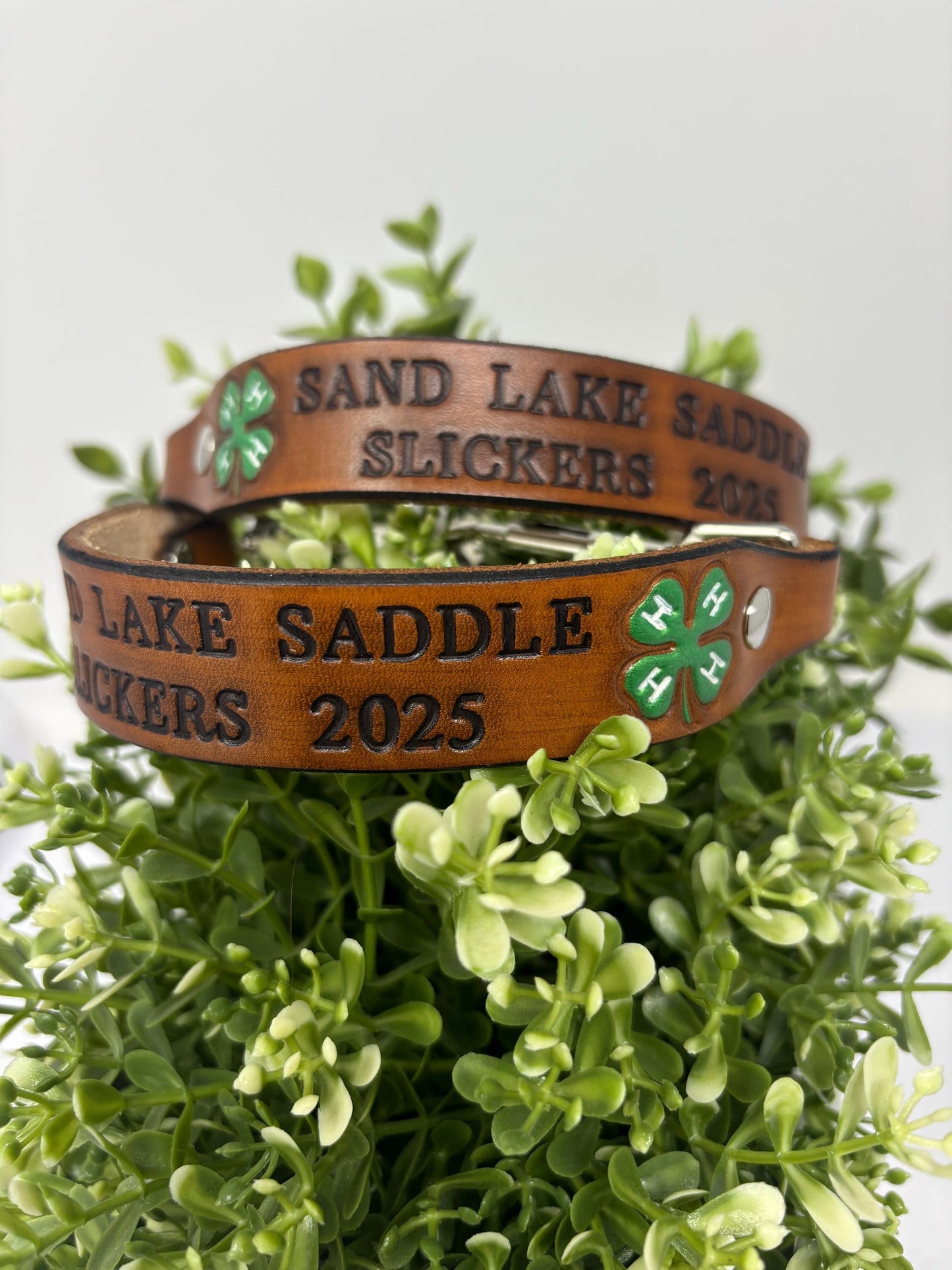 4-H Goat Collar Custom Made to Order | Personalize it for your Goat or Club