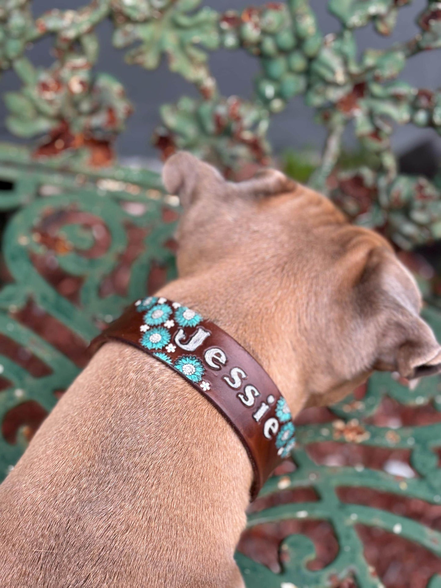 Floral Leather Dog Collar: Personalized Brown Leather, Blue Flower Accent