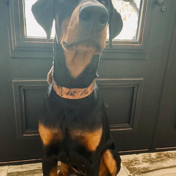 We the People Leather Dog Collar: Patriotic American Flag, Custom Pet Gift