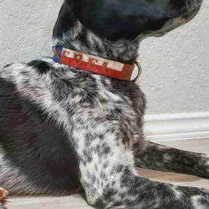 Handmade Texas Flag Leather Dog Collar – Lone Star Pet Accessory