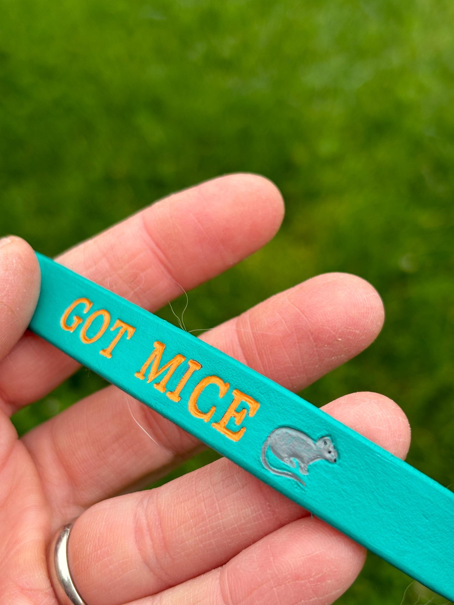 Sassy Cat Collar | For the working Cat