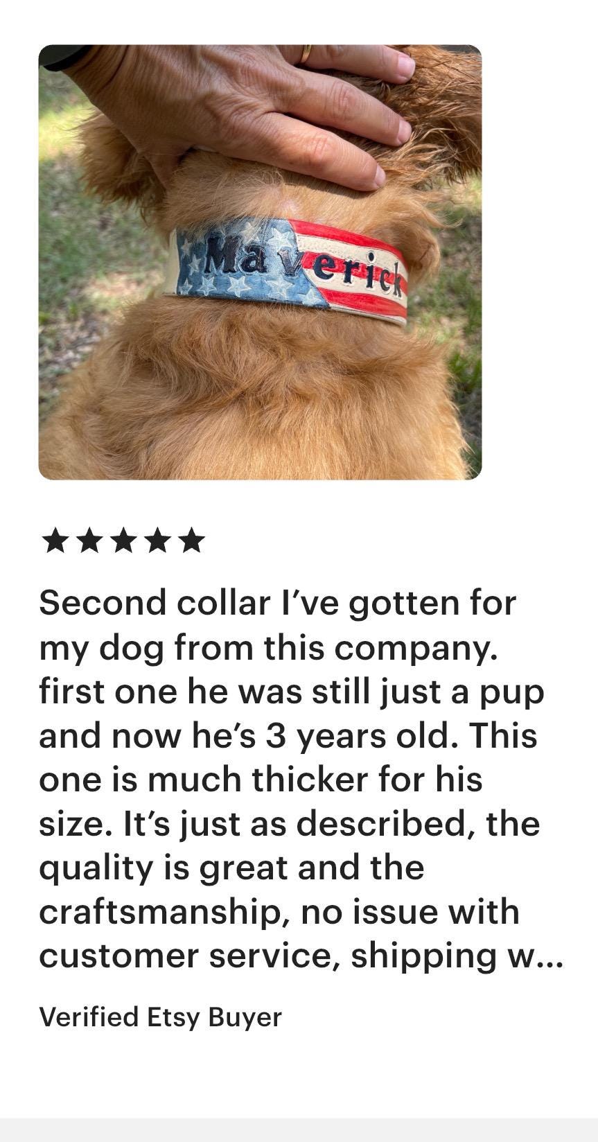 Personalized American Flag | Patriotic Dog Collars | For your large Breed
