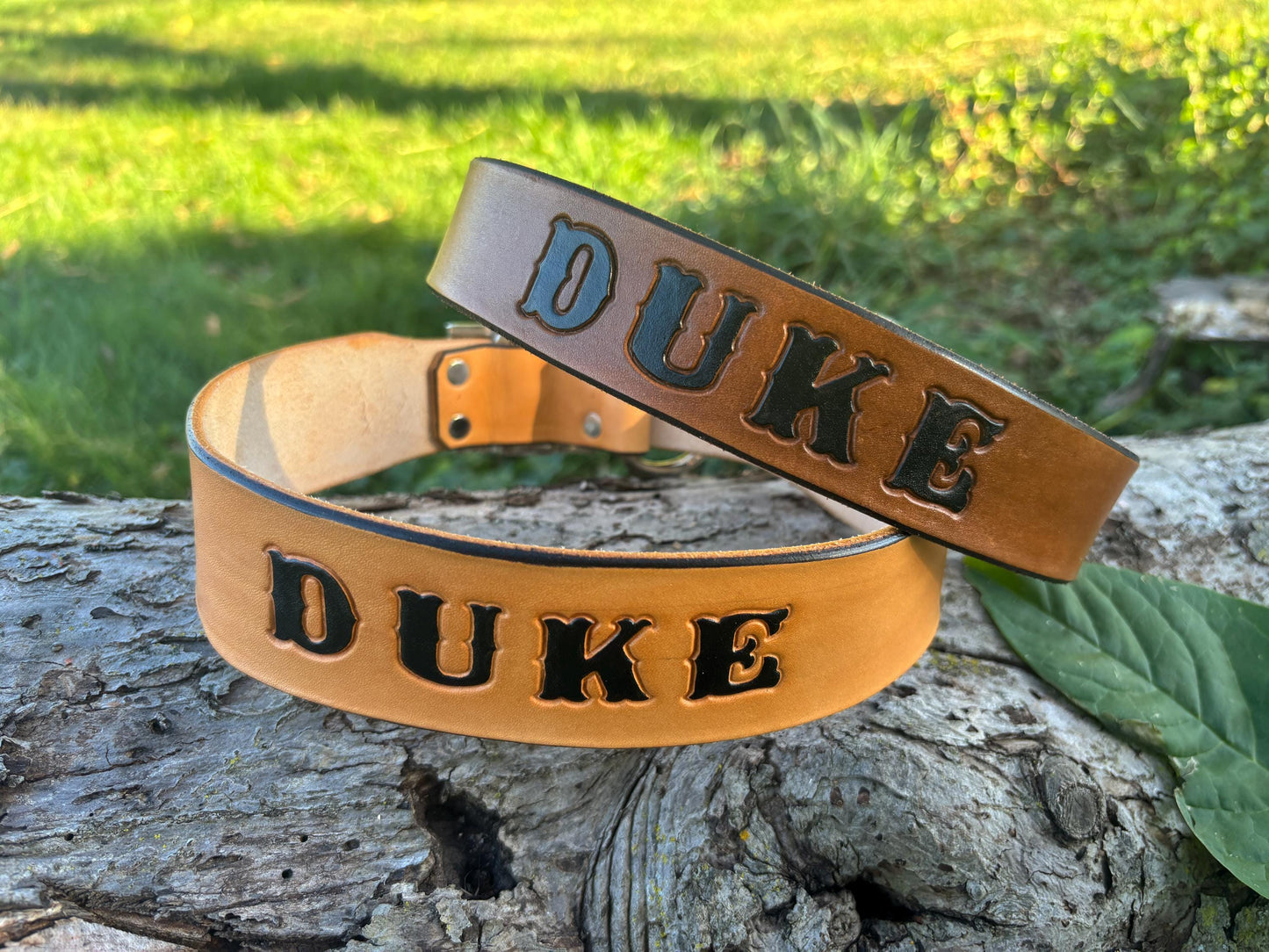 Engraved Brown Wide Collar and Leash Set - Custom Dog Collar -  For Large Dogs, Mastiffs