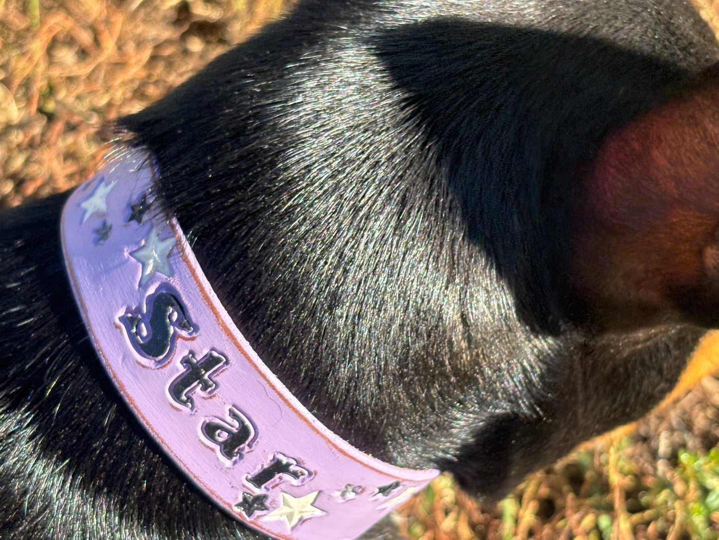 Tiny Lilac Personalized Leather Dog Collar For Small Girl dogs necks under 12"