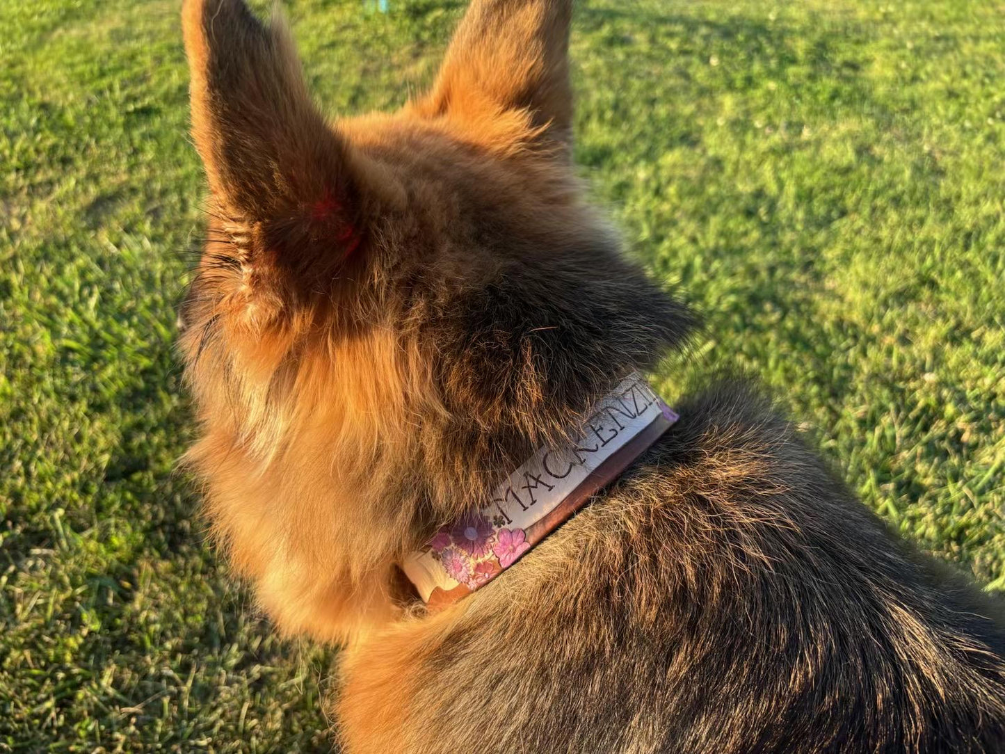 Personalized Purple Floral Engraved Leather - Girl Dog Collar - Custom Tattoo Font Pet ID Collar