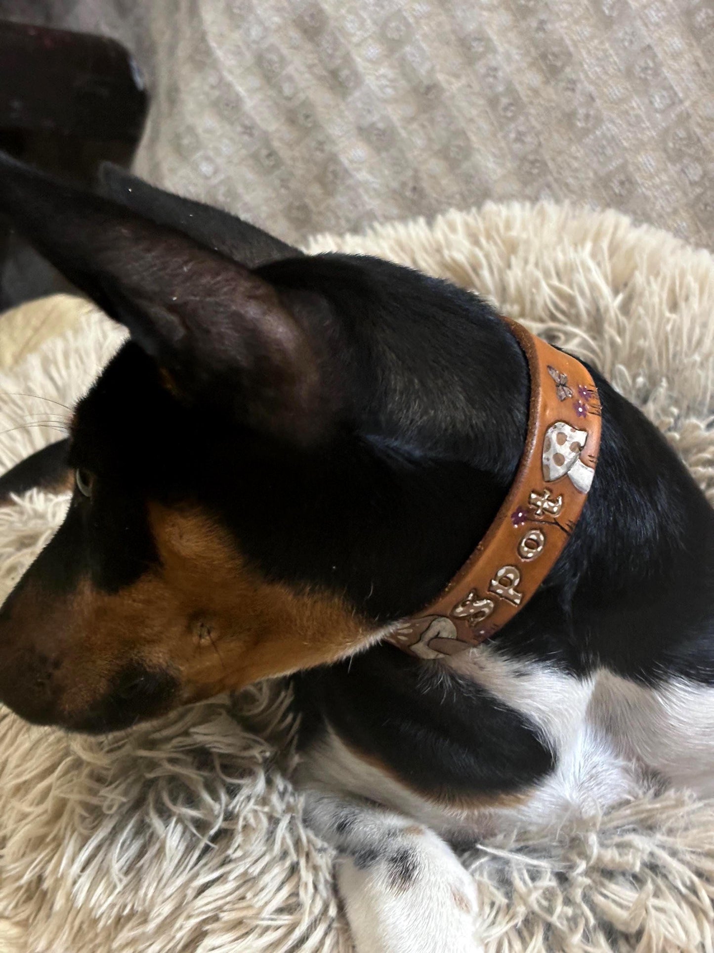Whimsical Mushroom Leather Dog Collar for Girls - Floral Woodland Fairy Design with Polka Dots