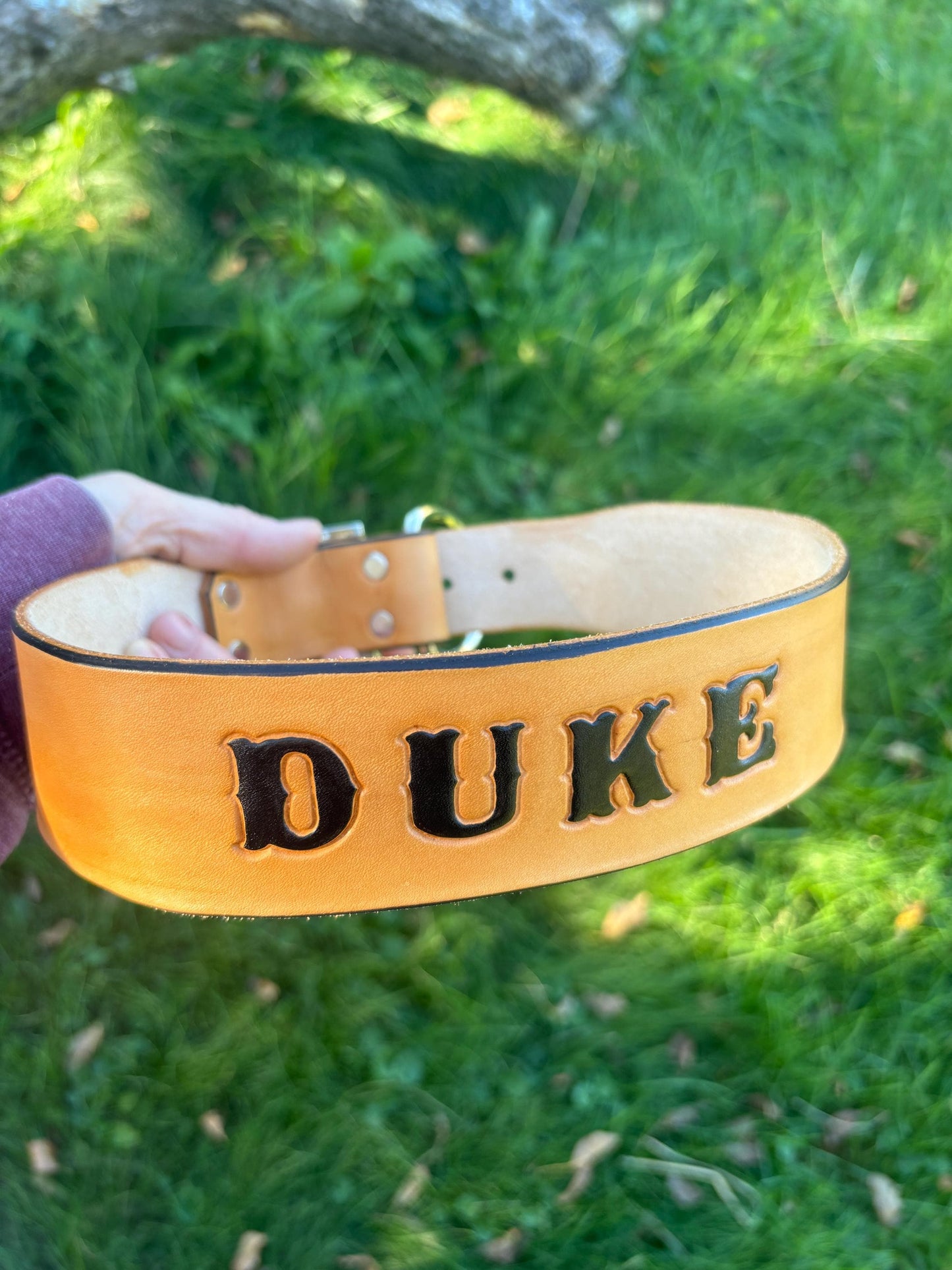Custom Dog Collar | Matching Collar and Leash | Labrador Retriever