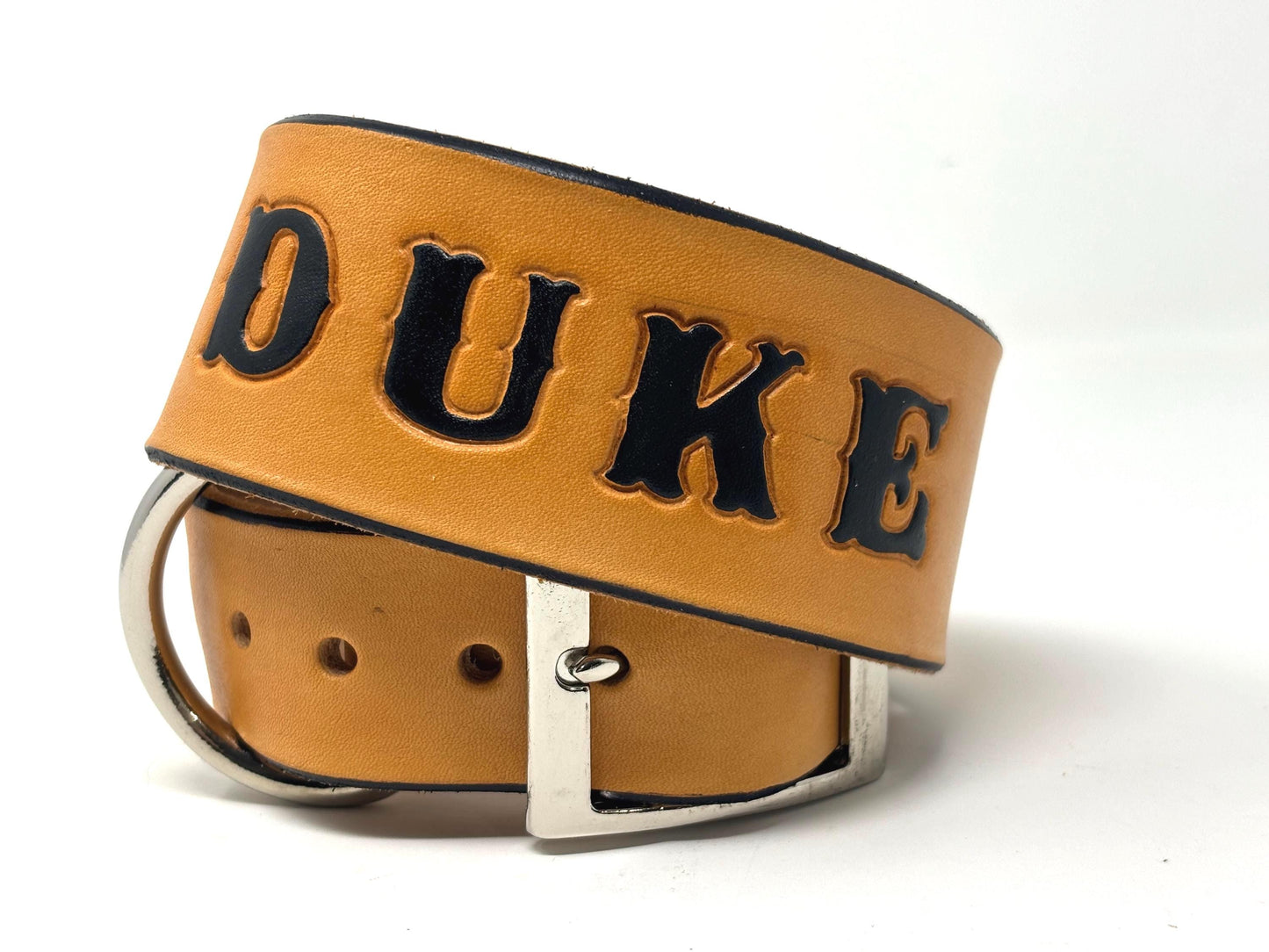 Custom Dog Collar | Matching Collar and Leash | Labrador Retriever