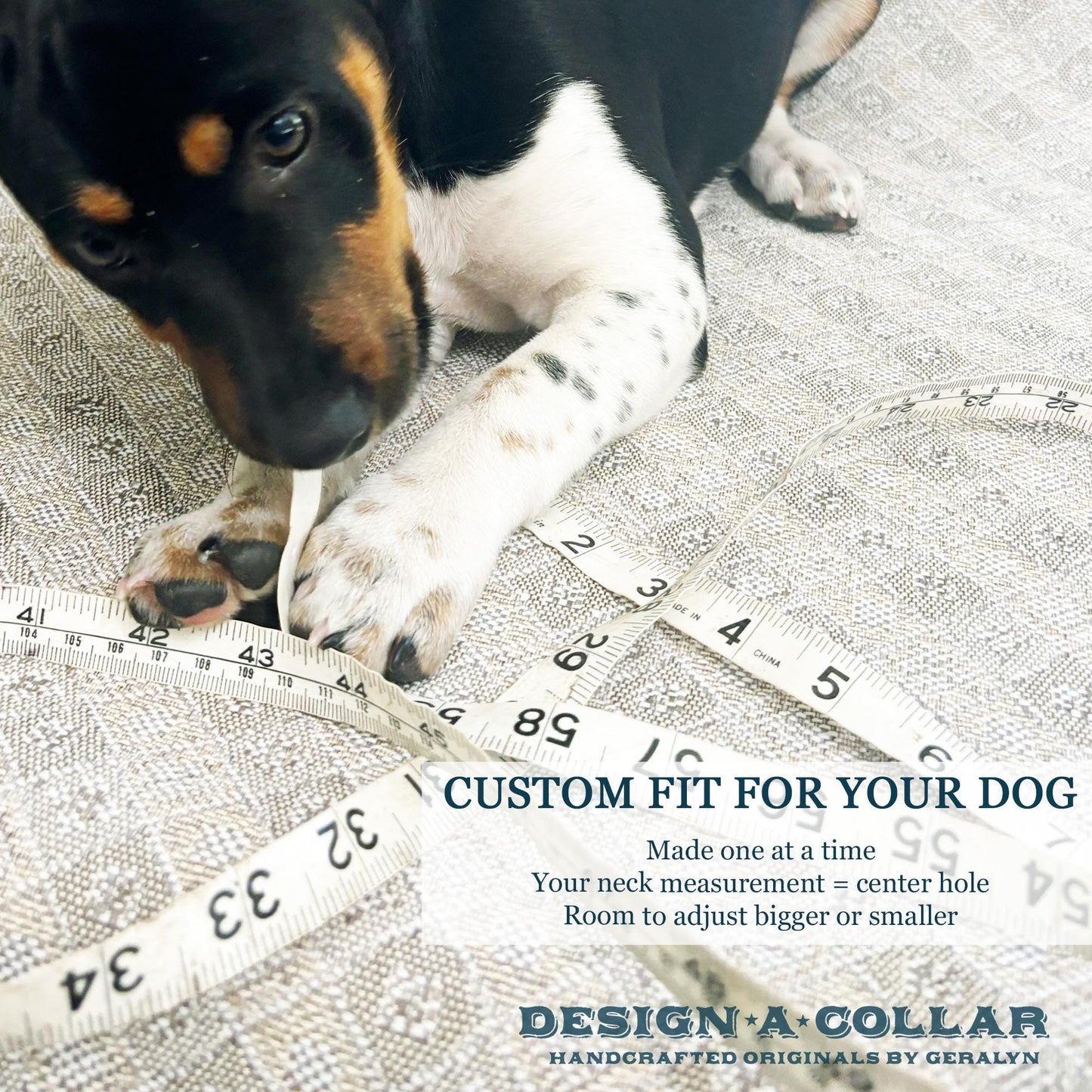 Brown Leather Texas Longhorn Dog Collar - Personalized Custom Fit
