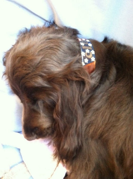 Personalized Leather American Flag Dog Collar | Patriotic Dog Collars | Stars & Stripes