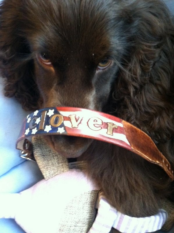 Personalized Leather American Flag Dog Collar | Patriotic Dog Collars | Stars & Stripes