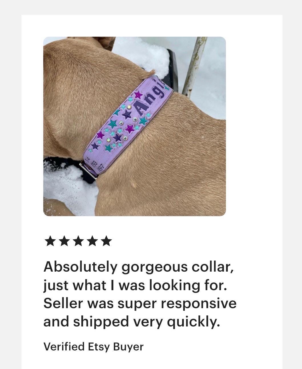 Rhinestone & Star Design - Leather Dog Collar - for Tough and Girly Dogs Lavender version