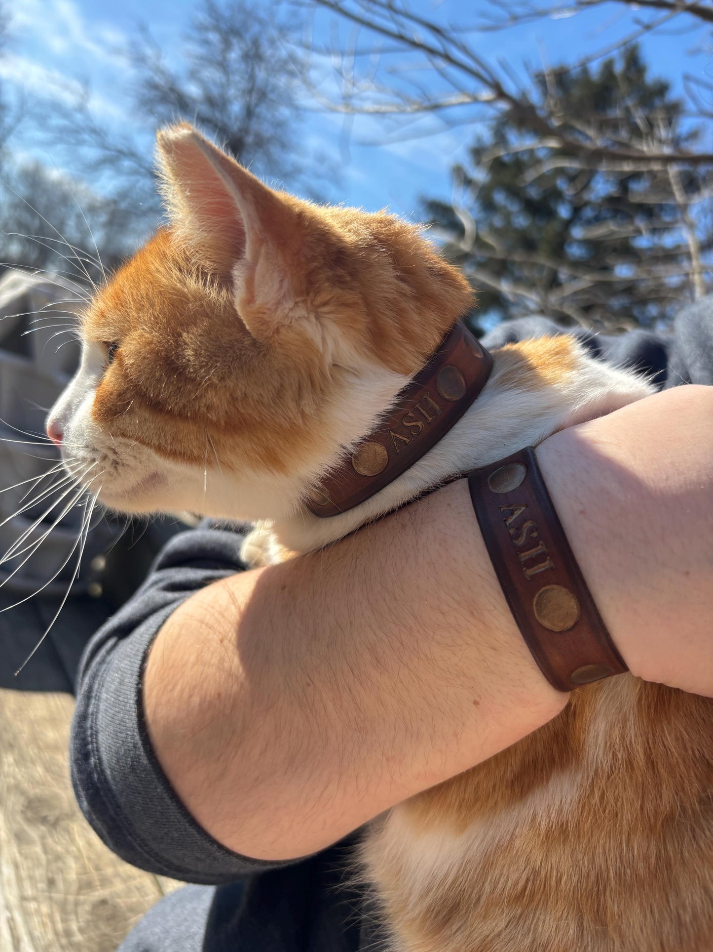 Viking Cat Collar for Ren Faire | Norse Cat Collar | Personalized Medieval Pet Costume | Fantasy Accessory