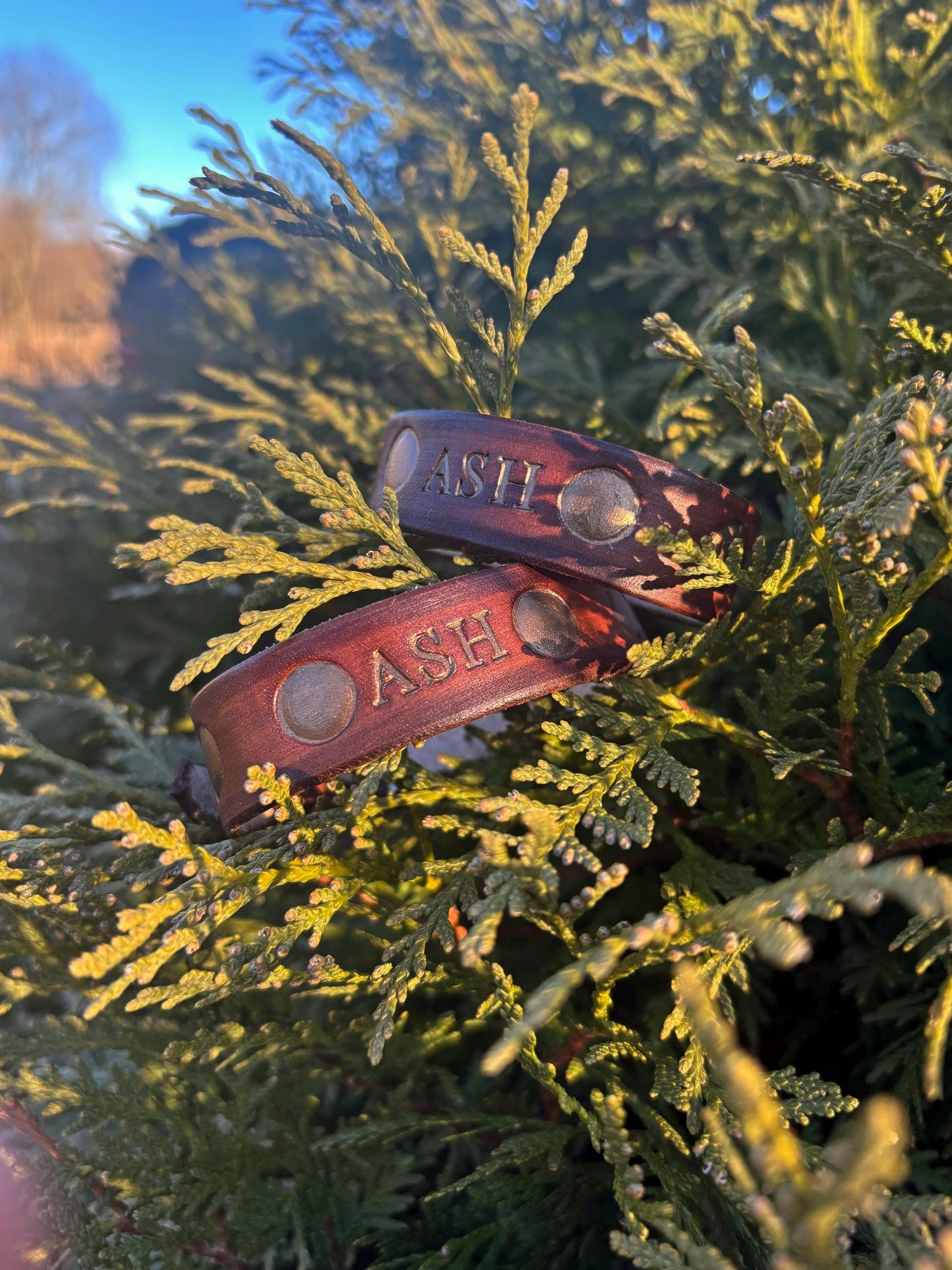 Viking Cat Collar for Ren Faire | Norse Cat Collar | Personalized Medieval Pet Costume | Fantasy Accessory