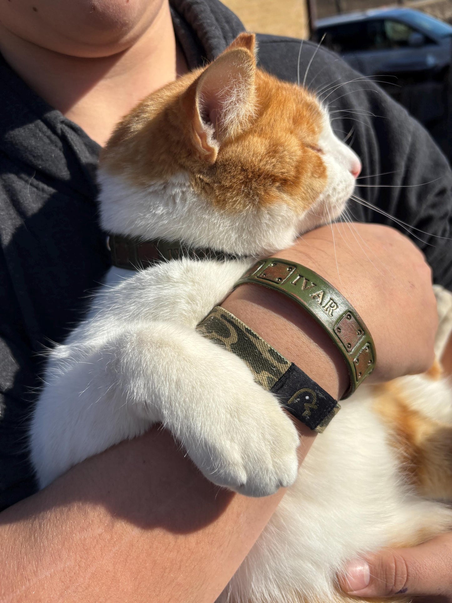 Personalized Viking Cat Collar | Medieval Leather Pet Collar | Green Patina Armor Style | Custom Warrior Name Collar For Cats