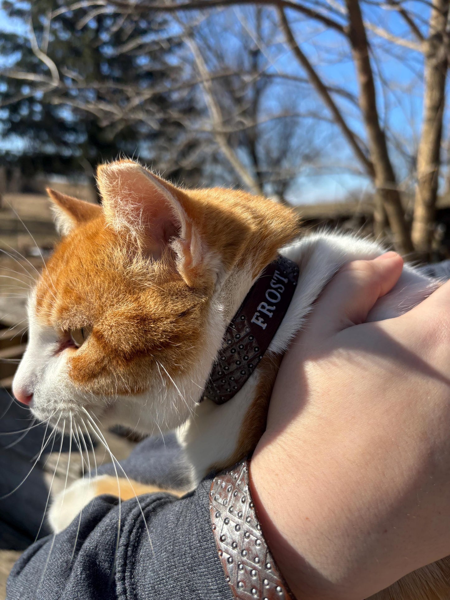 Viking Cat Collar Matching Cat and Owner Set Norse Leather Collar and Cuff Medieval Ren Faire Gift