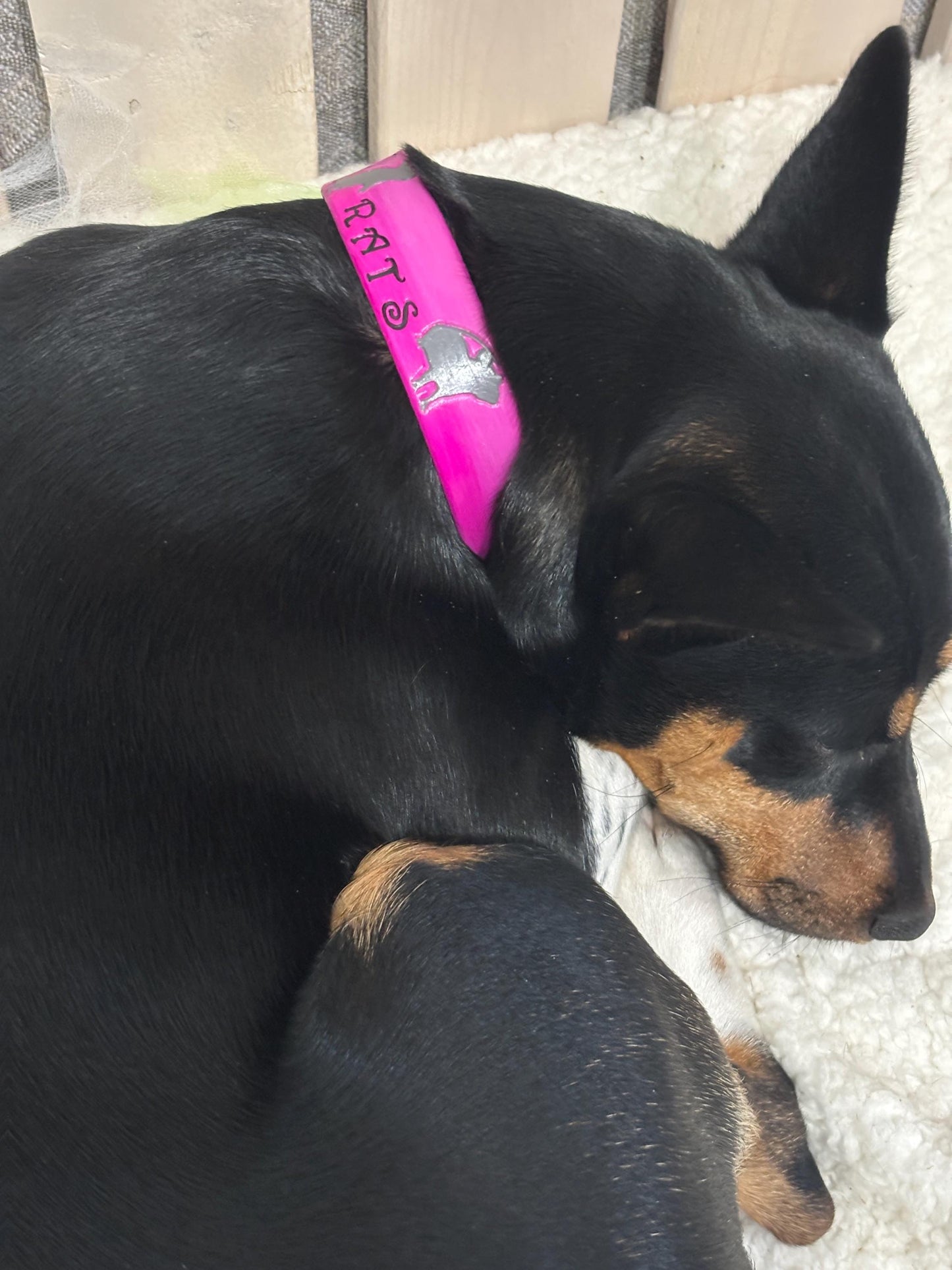 Bright Pink Got Rats Collar, Rat Hunting Dog Collar, Decker Rat Terrier Collar, Jagdterrier Dog Collar, Custom Leather Dog Collar
