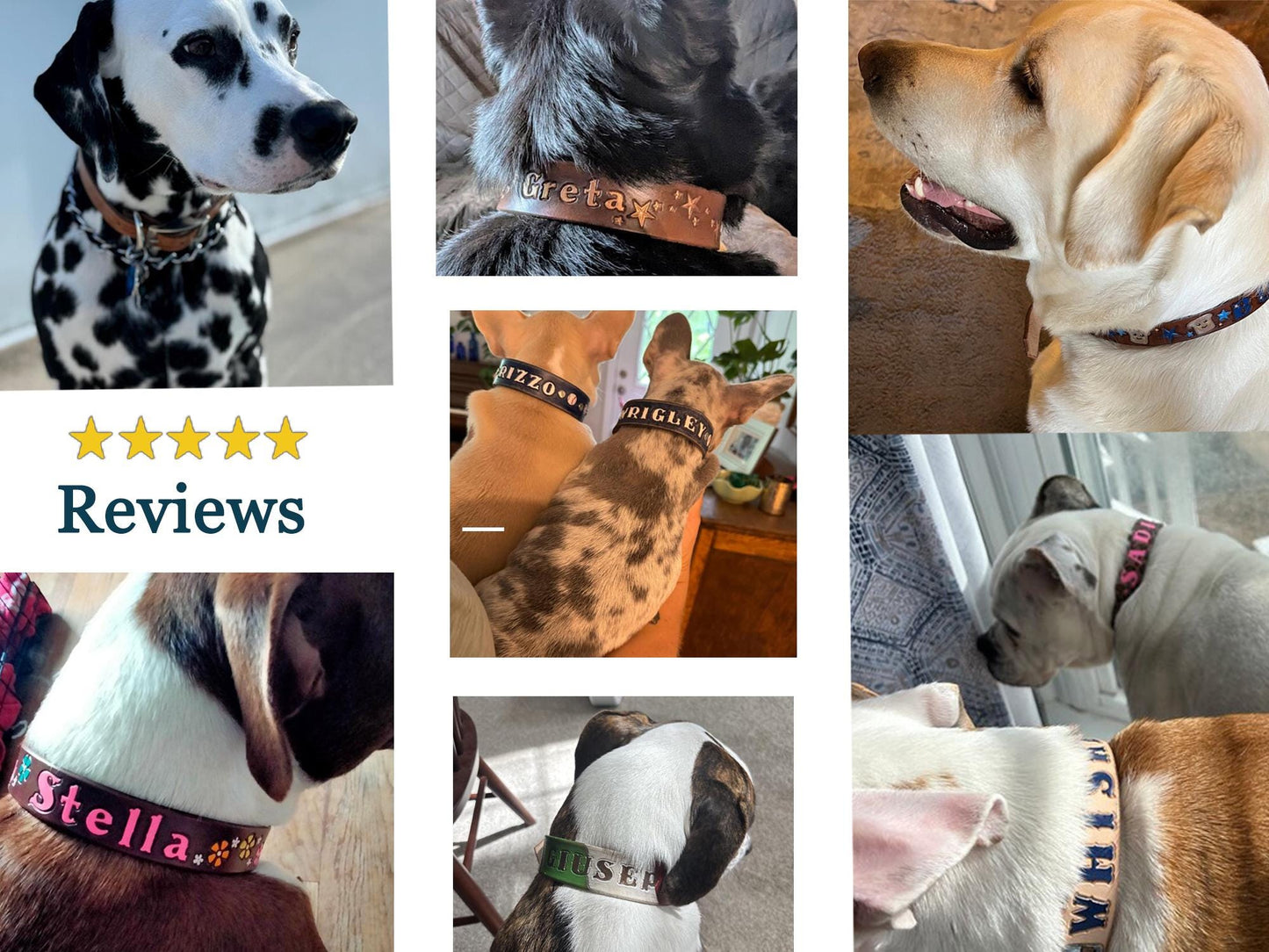 Leather Dog Collar | Classic Dog Collars |Personalized with Name and/or Phone Number