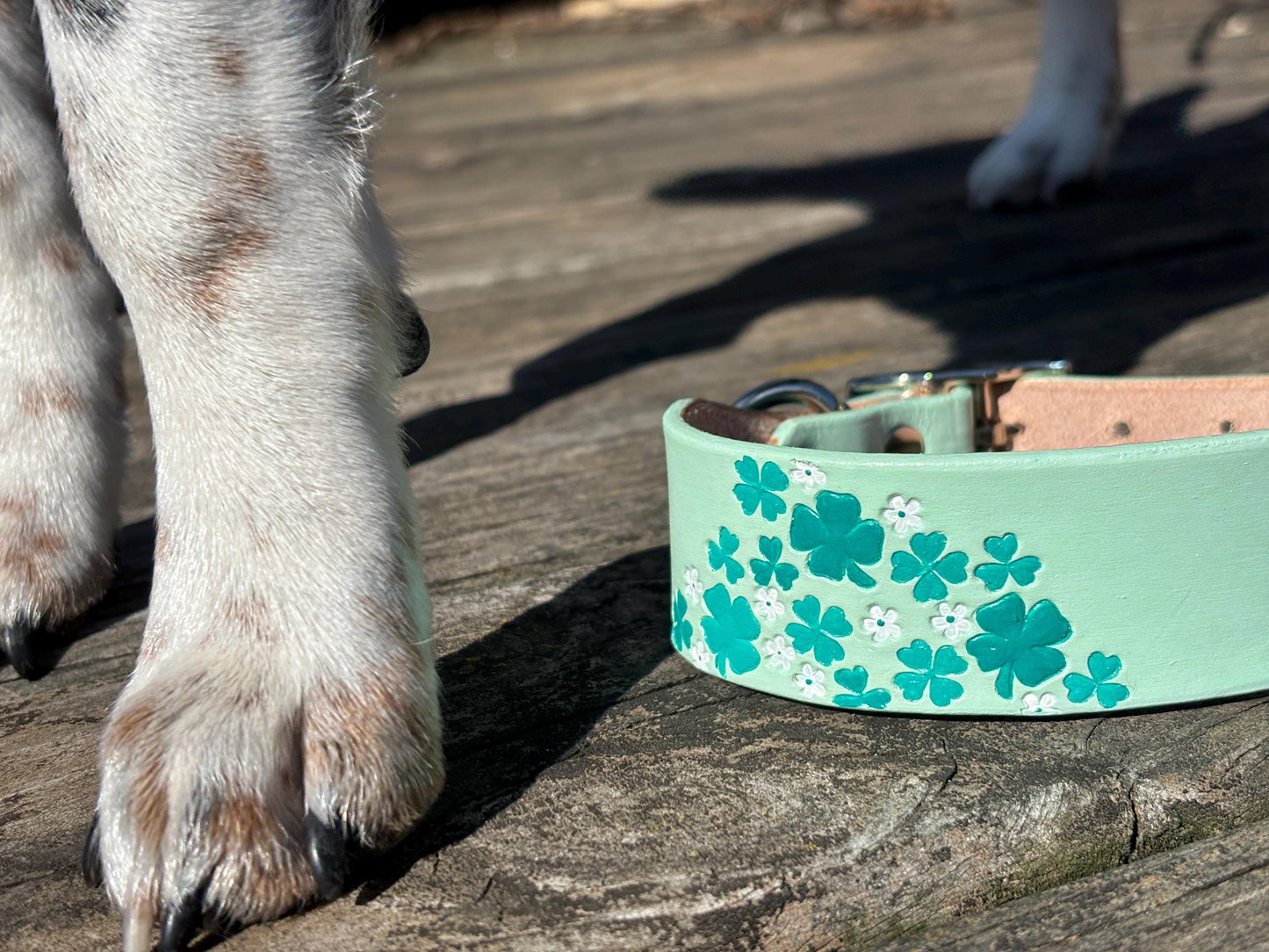 Lucky Shamrock Personalized Dog Collar | Irish Breed Dog Collar | St Patrick's Day Clover Pet Collar For Irish Dog Lovers