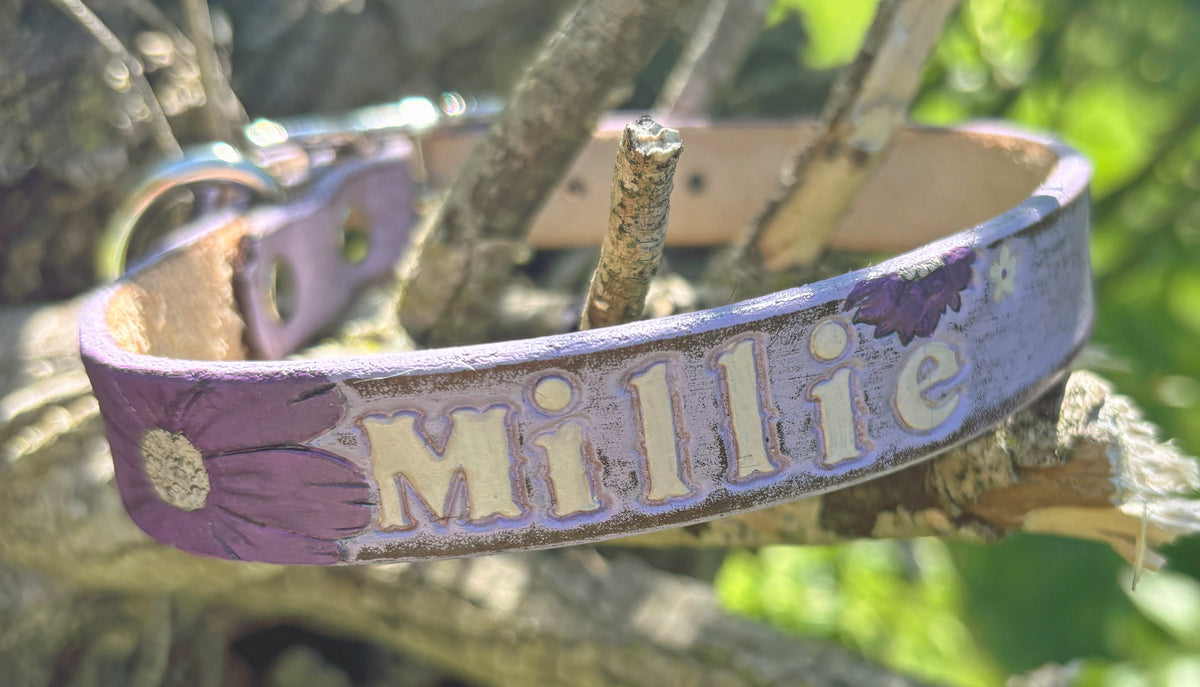 Personalized Leather Dog Collar | Girl Dog Collar | Large Flower Design